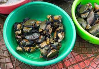 Many crabs on a basket at the market