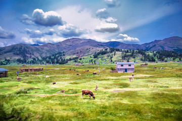 Fototapeta premium Beautiful landscapes on the road between Puno and Cosco , Peru.