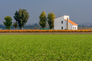 Obraz premium Casa en el campo junto a tierra agricola