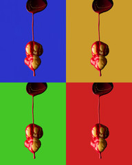 Homemade profiteroles with red sauce, shoot in pop-art style on colorful (blue, yellow, green, red) background. Close up