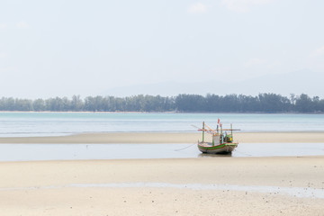 Small fishing boats aground on the beach with trees in the background.