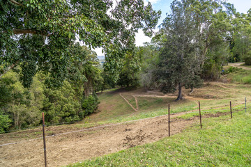 Focus on wire fence and horse track, soft large green trees and missing grass on rural property in Australia