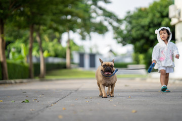 A girl leading her dog in the park.