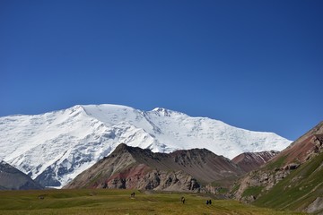 Lenin Peak 7134 m (Ibn Sina Peak)