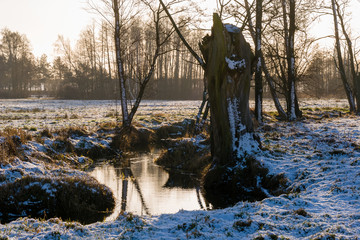 Zima na Podlasiu, Polska © podlaski49