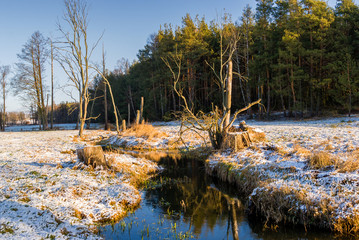 Zima na Podlasiu, Polska © podlaski49