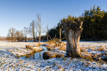 Zima na Podlasiu, Polska © podlaski49