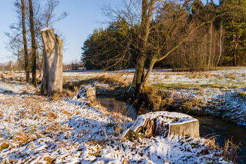 Zima na Podlasiu, Polska © podlaski49