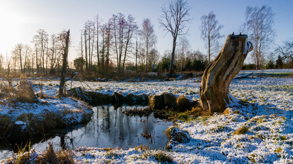 Zima na Podlasiu, Polska © podlaski49