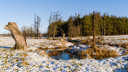 Zima na Podlasiu, Polska © podlaski49