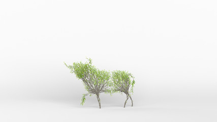 Growing Tree in a shape of a bull. Eco Concept. 3D rendering.
