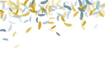 Detailed majestic feather on white design.