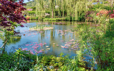 Beautiful lily pond in spring in Claude Monet's garden, flowers and plants reflected in the water....