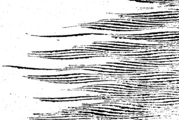 Swirled and curled stripes and brush strokes texture. Marble or acrylic atrwork imitation. Cool and swirly background. Abstract vector illustration. Black isolated on white. EPS10