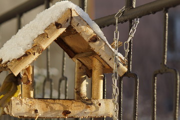 Dokarmianie ptaków , ptaki w karmiku © LBanacki