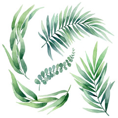 Hand drawn watercolor illustration of abstract green branch. Blue branches of eucalyptus. Elements for design of invitations, movie posters, fabrics and other objects, isolated on white background