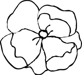 flowers vector Pansy coloring book