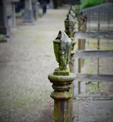 Detail eines alten Eisenzaunes
