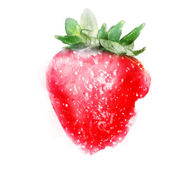 Watercolor strawberry on white