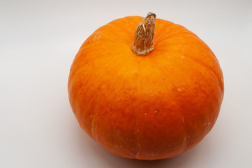 Single fresh pumpkin isolated on white background