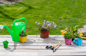 Gardening tools and flowers in the garden