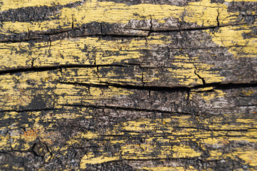 Obraz premium A part of old yellow wooden fence. The yellow paint on wood is old and cracked. Perfect painted wooden texture.
