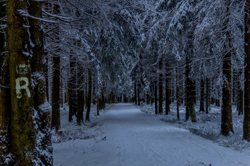 Erste Kleine Winterwanderung entlang des Rennsteiges durch den Thüringer Wald - Oberhof/Deutschland