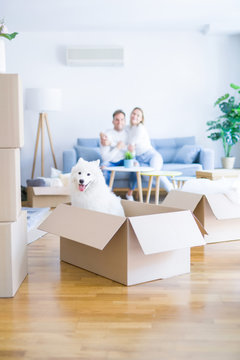 Young beautiful couple with dog sitting on the sofa at new home around cardboard boxes