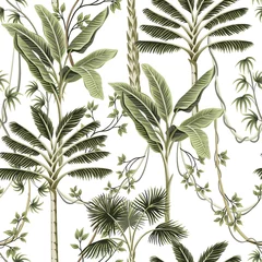 Papier peint Style vintage Palmiers tropicaux vintage, fond blanc à motif floral harmonieux de liane. Fond d& 39 écran jungle exotique.