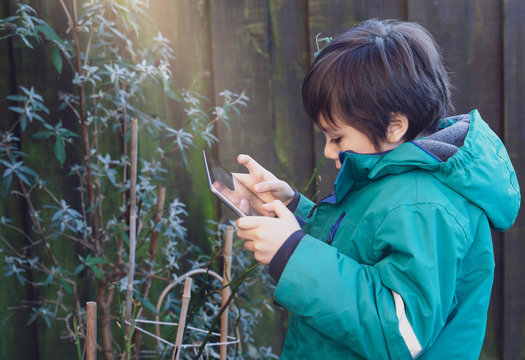 Active little boy holding a tablet taking photograph tree bud in the garden, Cute child photographing flower, Child explorer and learning about wild nature, Children Play and learn and play concept