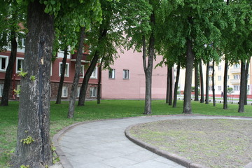 beautiful city building in a summer day