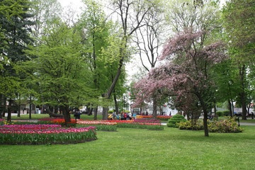 beautiful view in a city park in summer