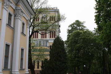 beautiful city buildings in a summer day