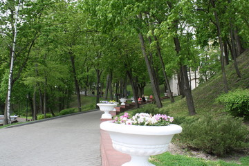 beautiful view in a city park in summer