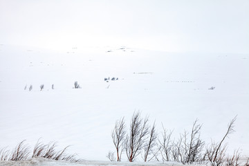 Fototapeta na wymiar Whiteout in einer kargen Landschaft der Polarregion