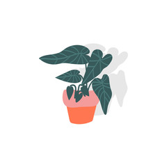 plant illustration. potted house plant vector. trendy botanical art print. 