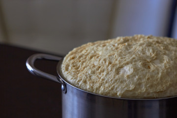 Yeast dough for Easter baking ready for use