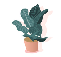 plant illustration. potted house plant vector. trendy botanical art print. 