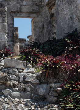 Mayan ruins in the Yucatan Peninsula, Mexico