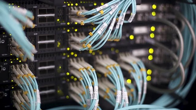 Optic cable connected to a single patch panel. Technology concept.