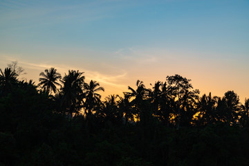 Sunrise over jungle, view from Campuhan Ridge Walk, Ubud, Bali island, Indonesia.