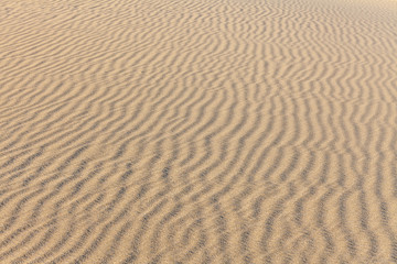 Sand Texture. Background from fine sand. Sand background