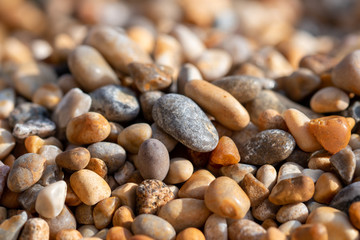 Pebble Beach Macro