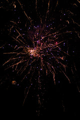 Multicolored fireworks exploding on the sky for New Year Celebration