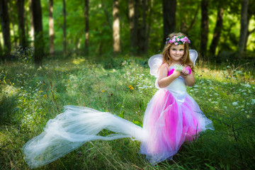 Little Girl Dressed as A Fairy Princess