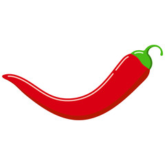 Red chilli pepper vector icon isolated on white background.