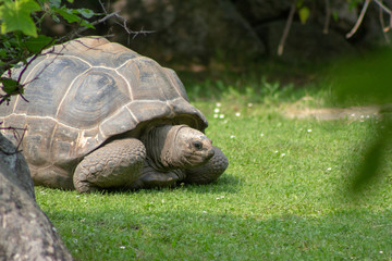 Obraz premium Prague ZOO