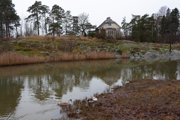 Obraz premium An old authentic rural house and flying trees on the island of Seurasaari is reflected in the lake water on a gloomy autumn day in Helsinki in Finland. Finland autumn landscape