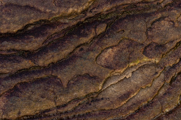 pedra porosa e antiderapante com sulcos e desenhos abstratos