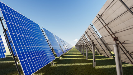 Solar Panels Across the Plain in Natural Daylight 3D Rendering